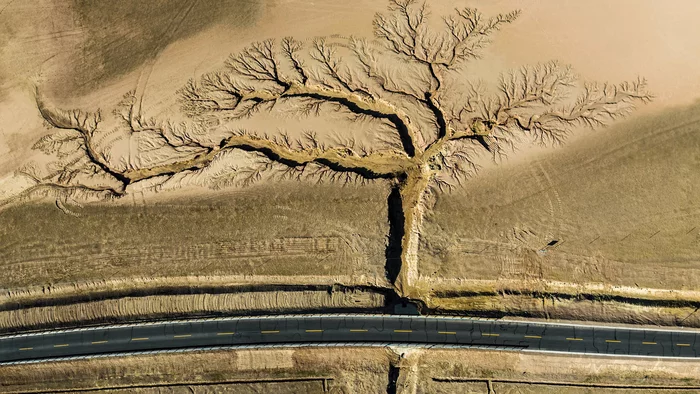 The best scientific images of October. 1) Branching - Aerial photography, Tibet, China, The science, The photo, Informative, Scientists, Around the world