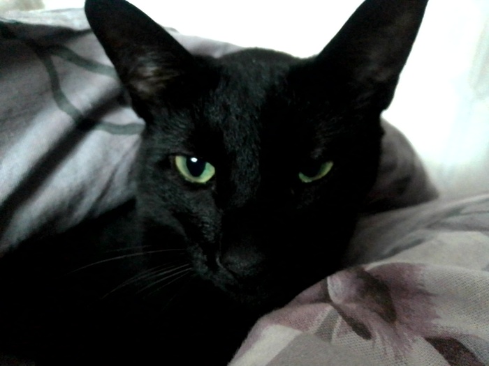 � �� ��� �� ��� �������?