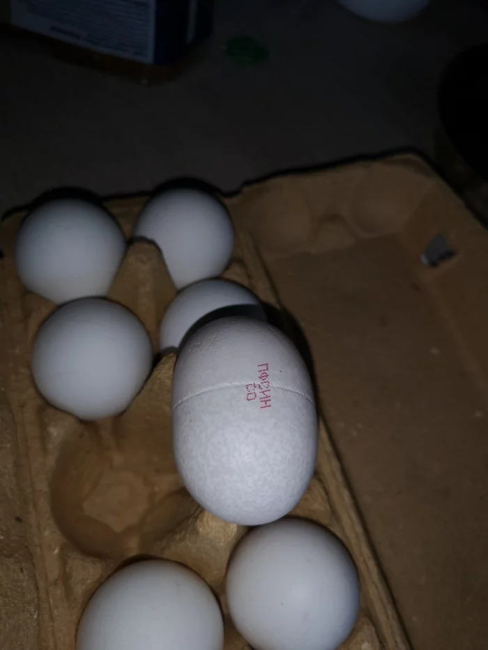 Kinder egg - Longpost, Unusual, Kinder Surprise, Eggs, My