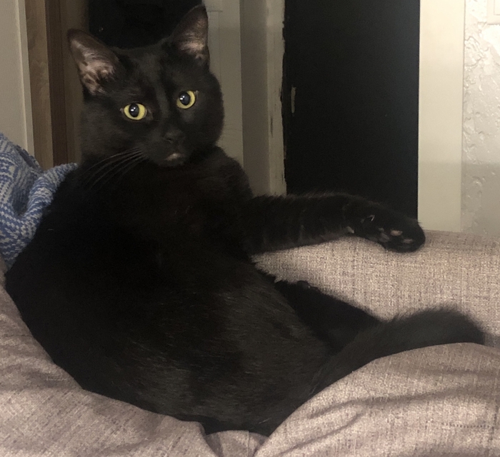 ������ ��������� � �������� ������