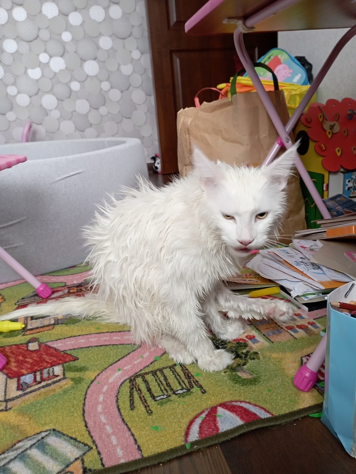 ����-����! ����� ������! ���...