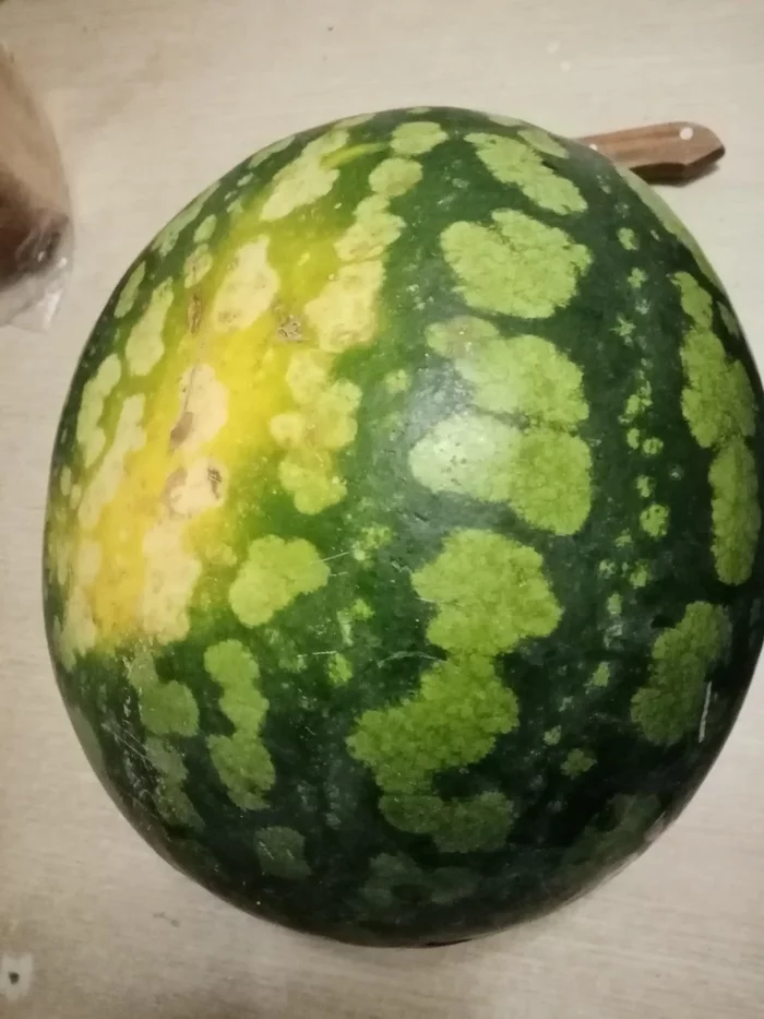 Closing the watermelon season - My, Watermelon, The photo, Longpost