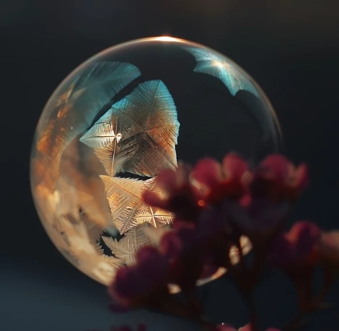 Frozen soap bubbles - My, Macro photography, Winter, Cold, Bubble, freezing, Longpost