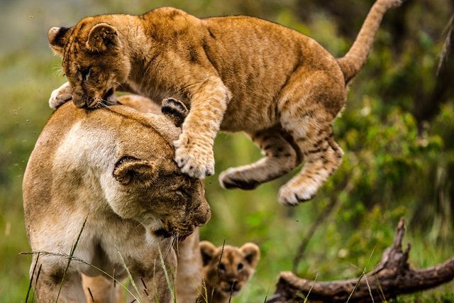 Внезапная атака