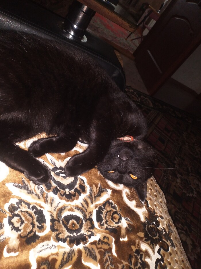 ������� ����������)