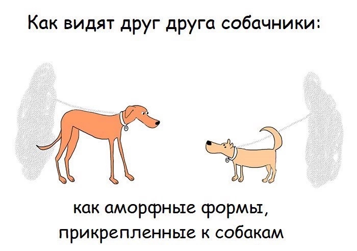 Кажется у всех собачников так - Собака, Хозяин, Собачники, Домашние животные, Юмор