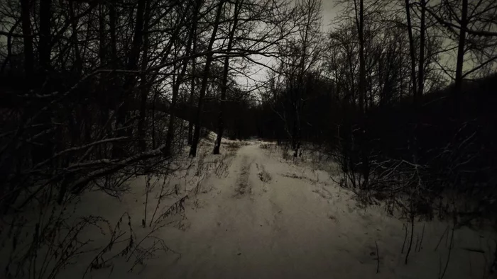 In an overgrown park... - My, Swamp, Landscape, Walk, Night, Longpost, The park