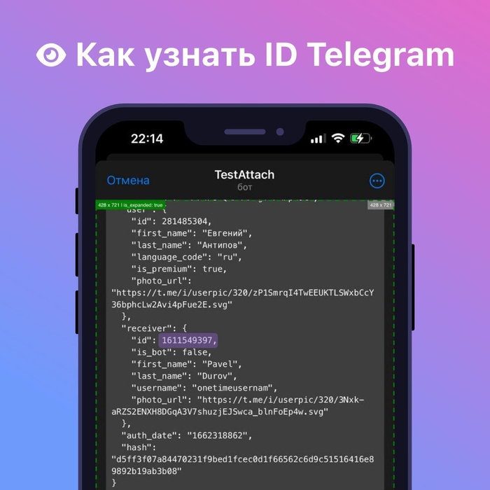 Как узнать ID любого человека в Telegram? | Пикабу