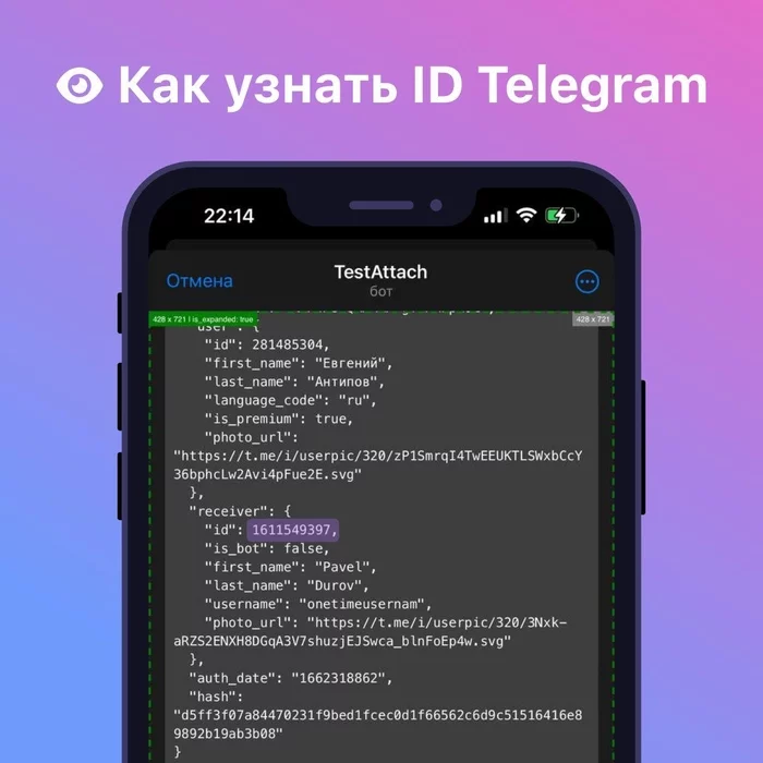 How to find out the ID of any person in Telegram? - My, Feature, Life hack, Bug, iPhone, Android, Software, Telegram, Anonymity, Appendix, The bot