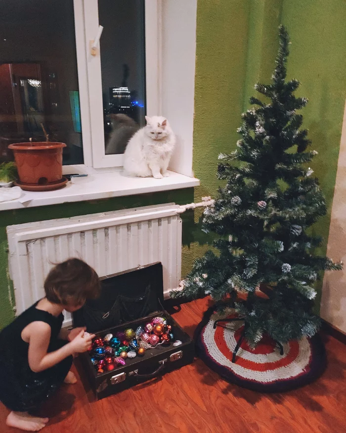 So, skinned human cub, decorate the Christmas tree for me! - Turkish Van, Turkish angora, New Year, cat, The photo