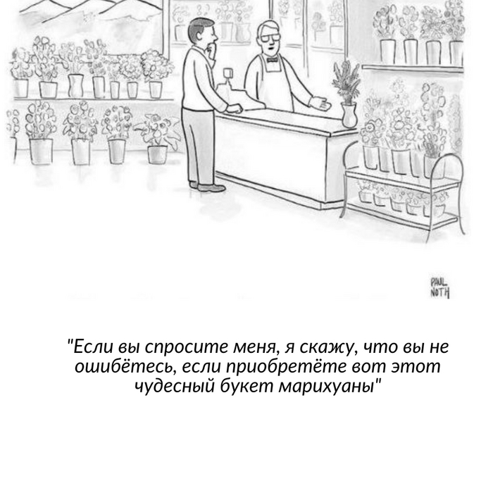   The New Yorker, , 