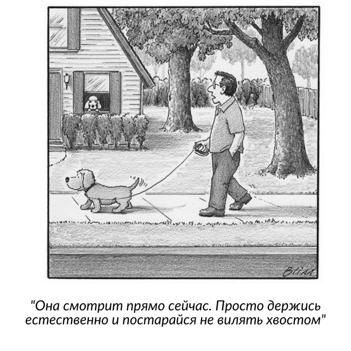    The New Yorker, , 