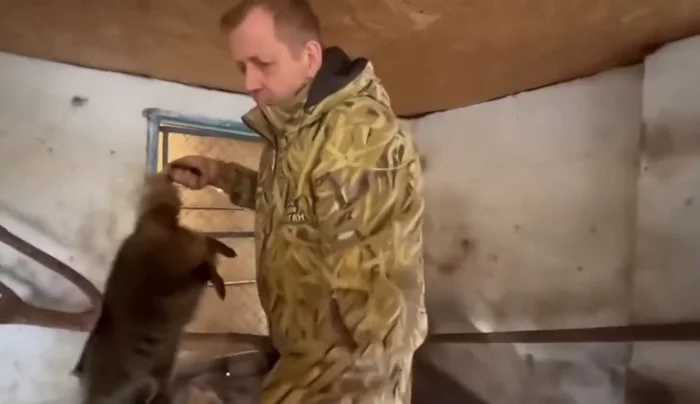 Director of the Crimean Taigan safari park Oleg Zubkov stole a raccoon from Kherson - Raccoon, Kherson, Theft, Taigan Lions Park, Oleg Zubkov, Mat, Longpost