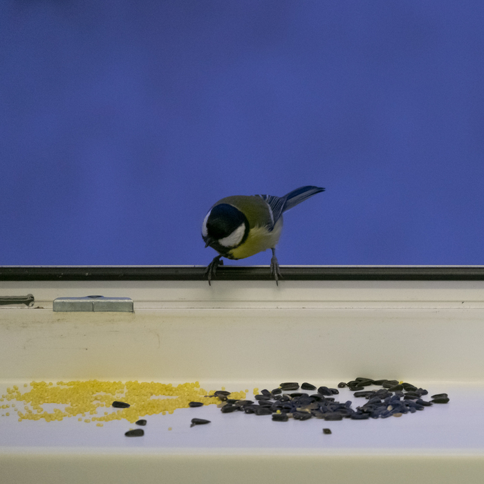 ������ - �� �����