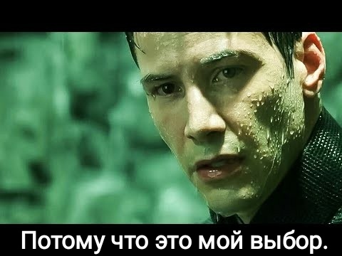   , , 49  5,   ,  ()
