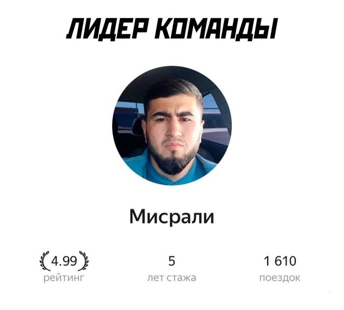 Моя команда на случай зомби-апокалипсиса Яндекс Такси, Аватарка, Команда, Длиннопост, Картинка с текстом