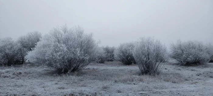 Suburb of Ulan-Ude today - My, Mobile photography, Buryatia, Frost, Village, Winter