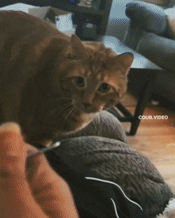      , , , 