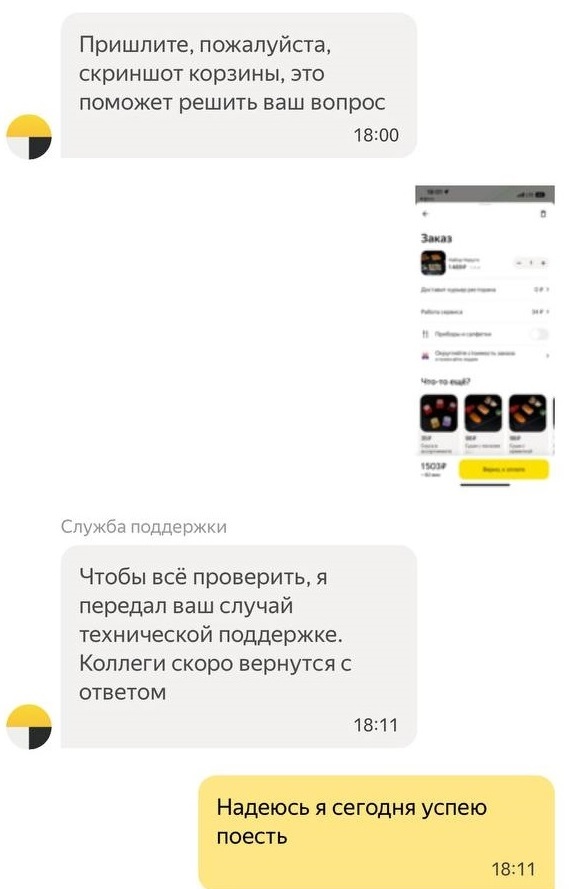 Yandex DNO - My, Yandex., A complaint, Support service, Negative, Longpost