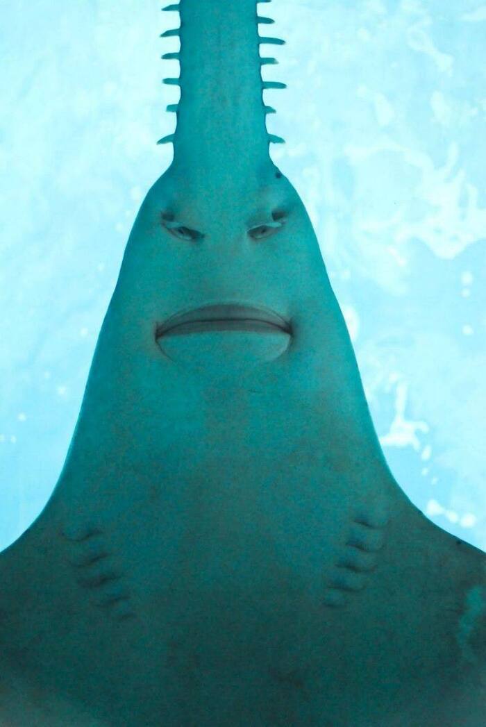 -.   , , ,  