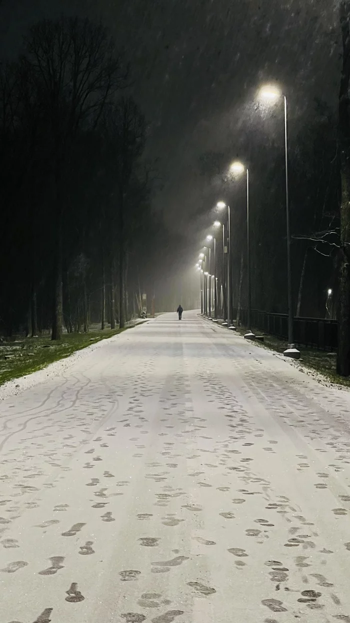 Filatov Lug Park, Moscow - Russia, Moscow, Southwest, The park, Snow, Evening, Walk