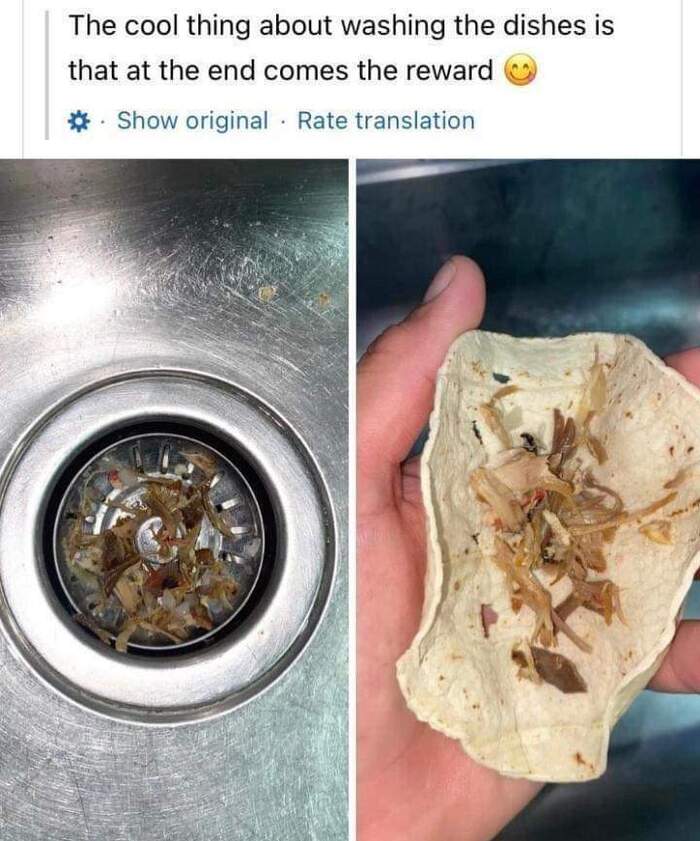 Taco - Taco, Disgusting, Dirty dishes, Humor, Abomination, Strange humor