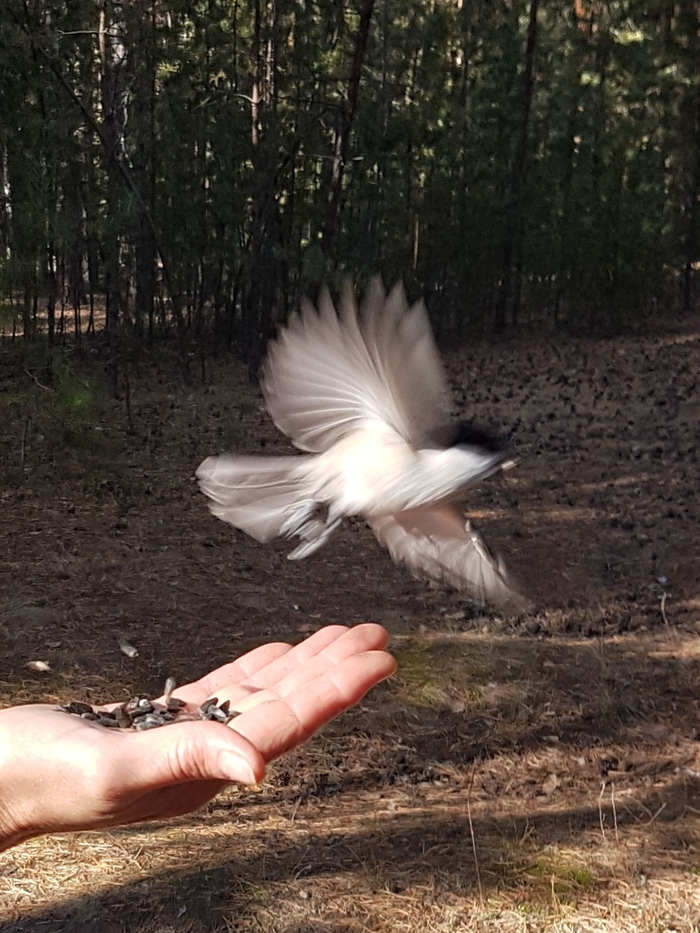 Ответ на пост «Стоп кадр»