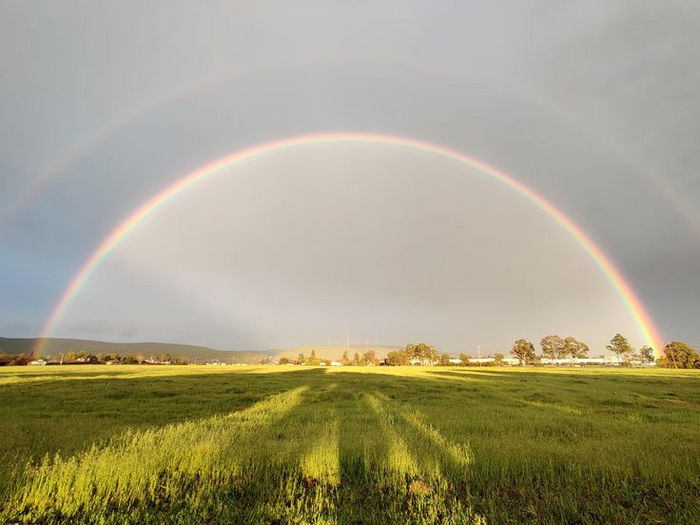 Rainbow