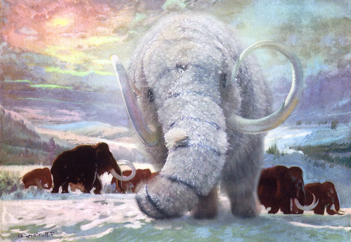 ManulopotamusSiberian