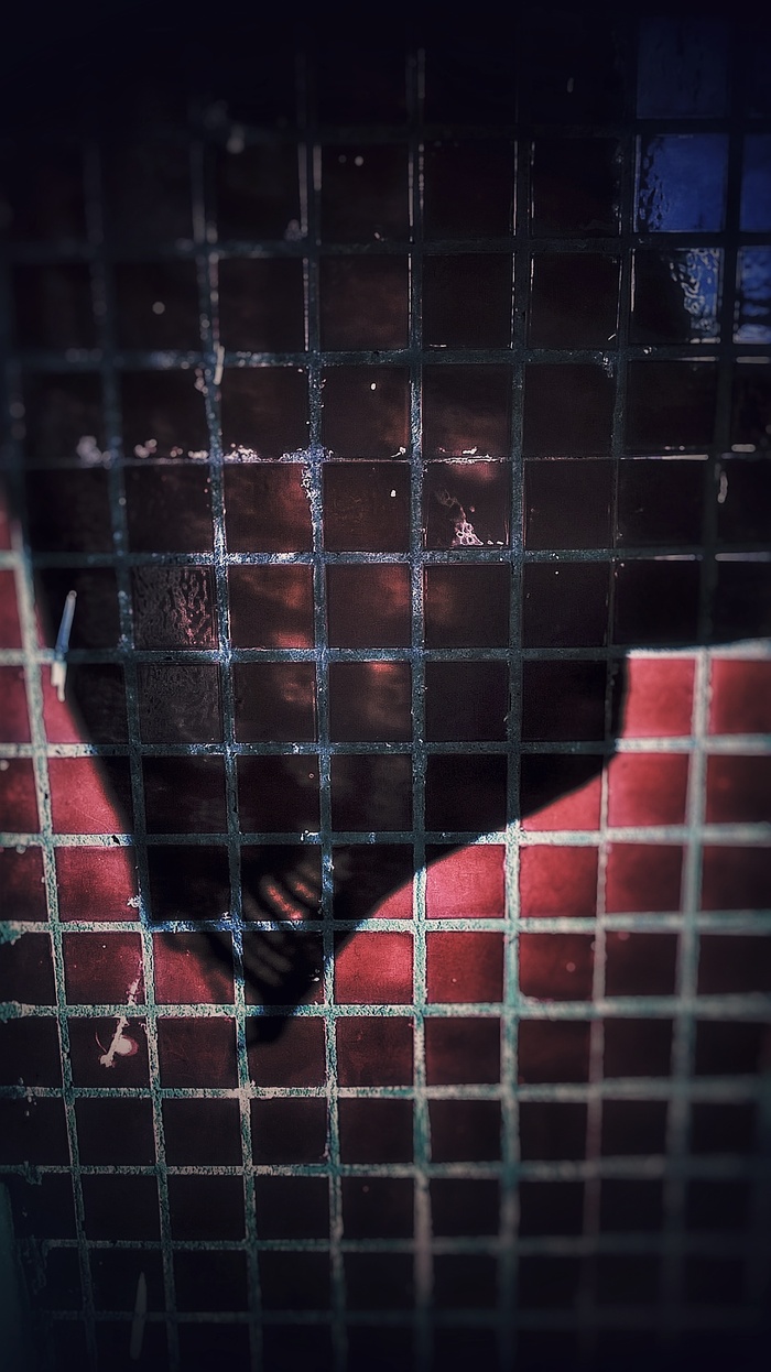    , Snapseed, , , 
