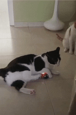      , , , 