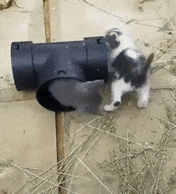      , , , 