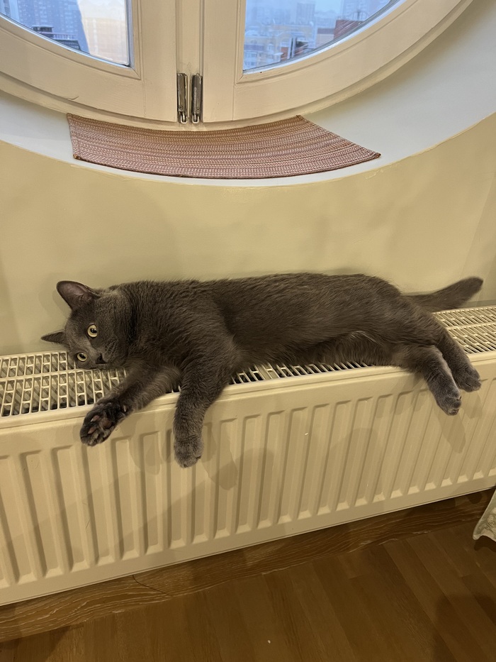 ���������������� ������