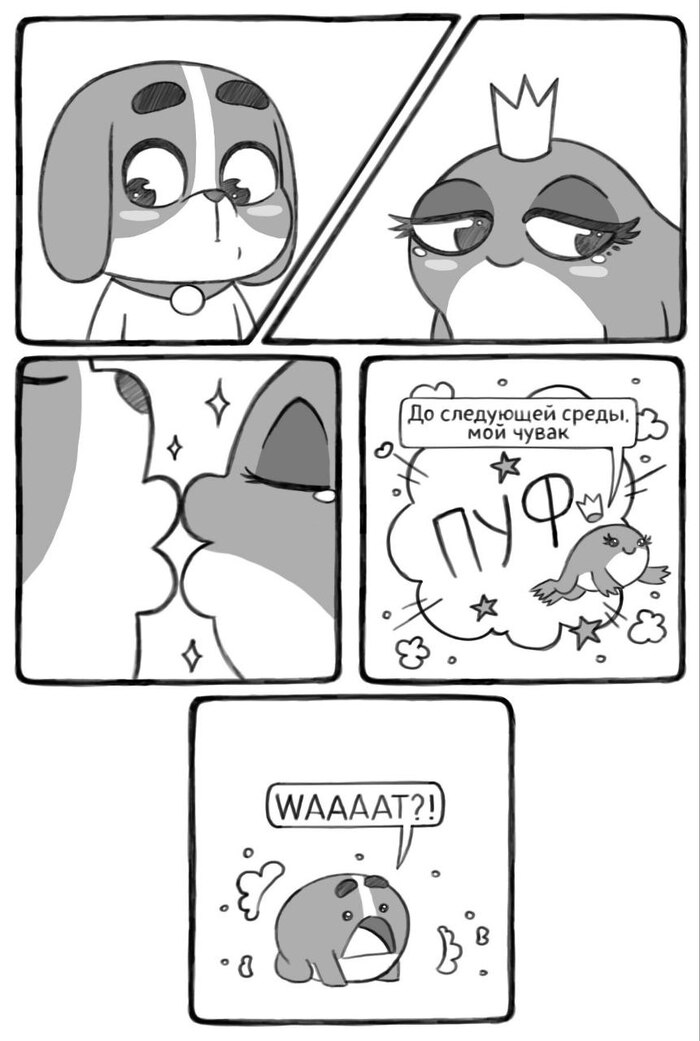 ��� �����, ��� �����