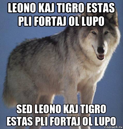 Sagha citajho pri lupo 2 - Esperanto, Memes, Translation, Picture with text