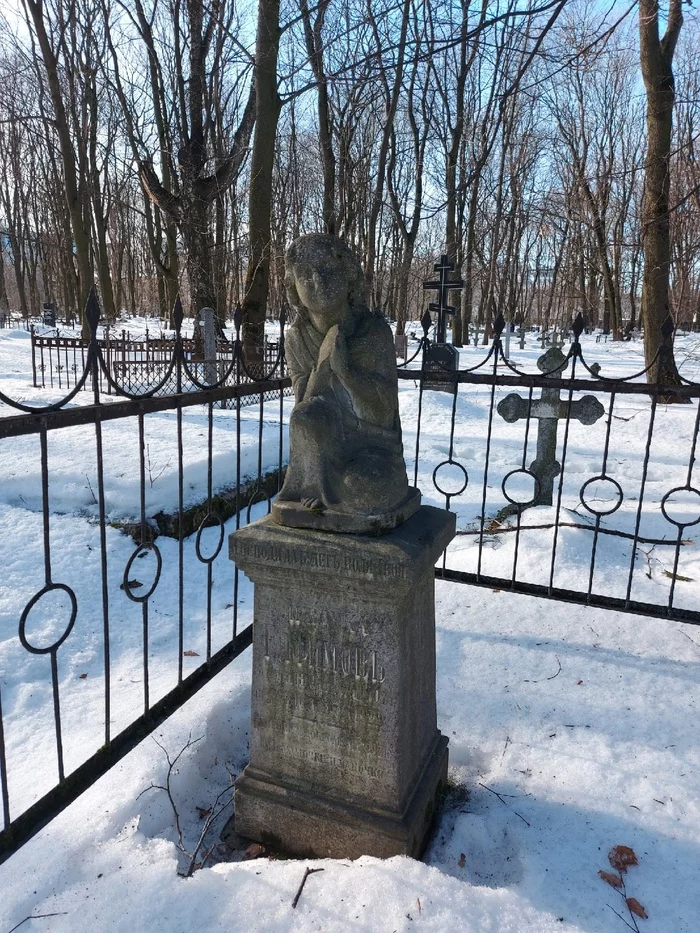 Novodevichy Cemetery, St. Petersburg - My, Saint Petersburg, Necropolis, Longpost, Cemetery
