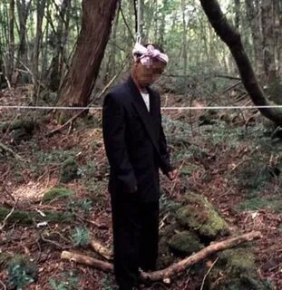 Aokigahara Forest - Aokigahara, Suicide Forest, Theme of the week