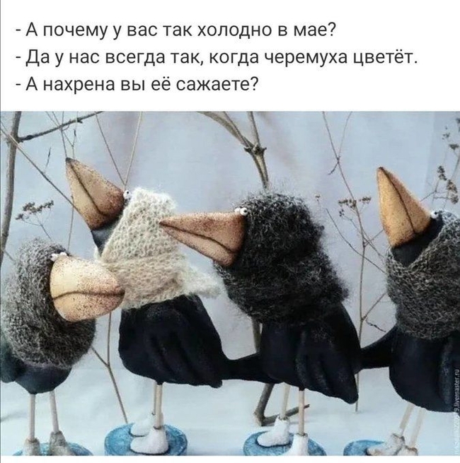 Меня рассмешило (БМ молчал)