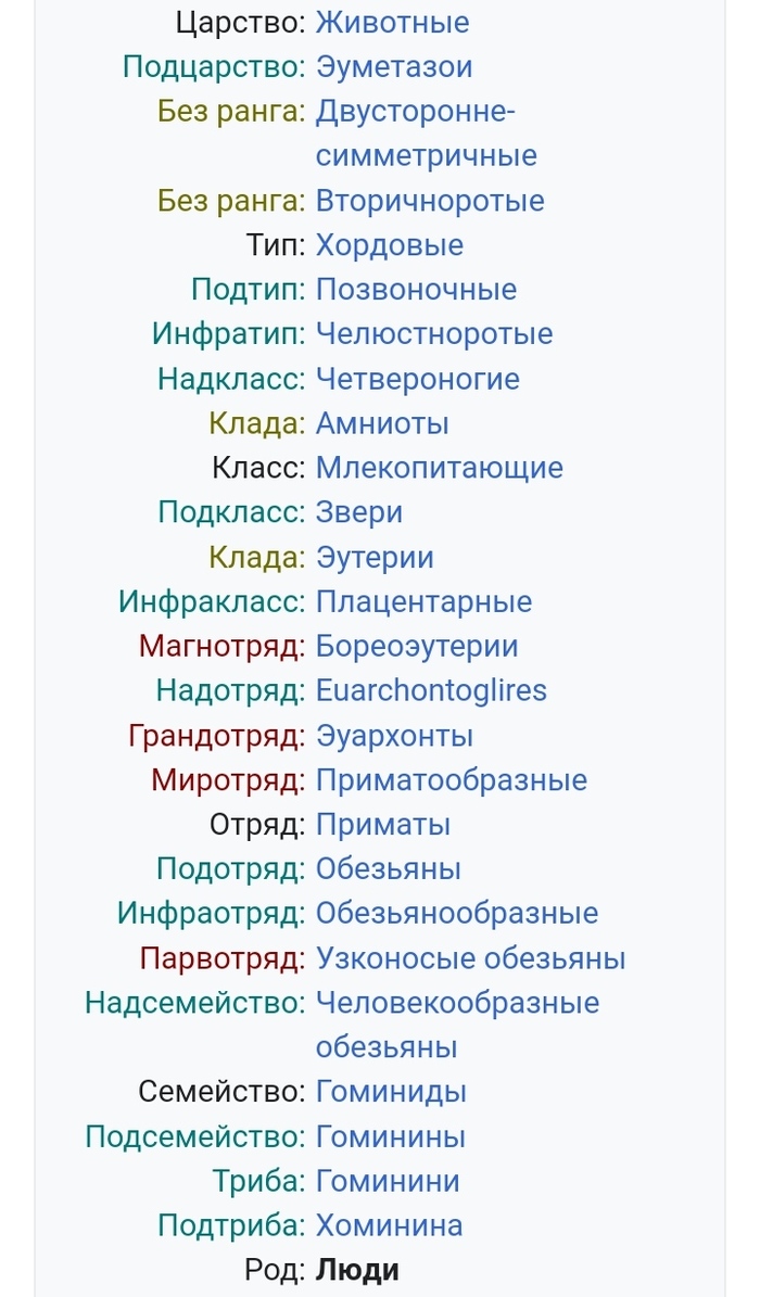 Ответ 45uyuyu45 в «Шах и мат креационистам?» | Пикабу