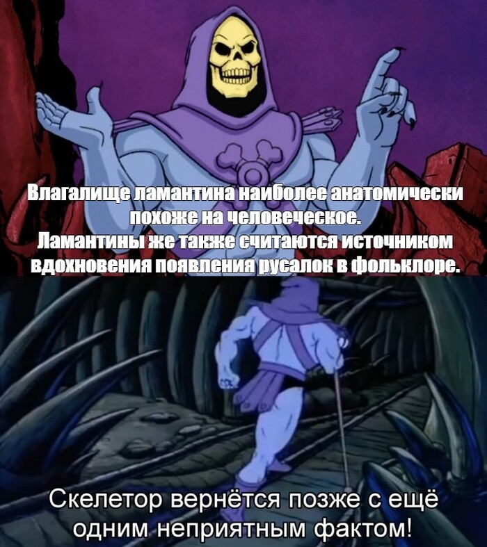 Очередной Скелетор