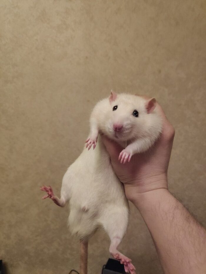  , ,  