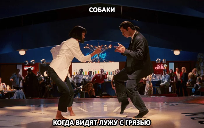 Dirt - My, Images, The photo, Screenshot, Memes, Movies, Pulp Fiction, Dog