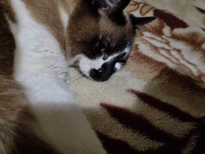    , , , ,  , 