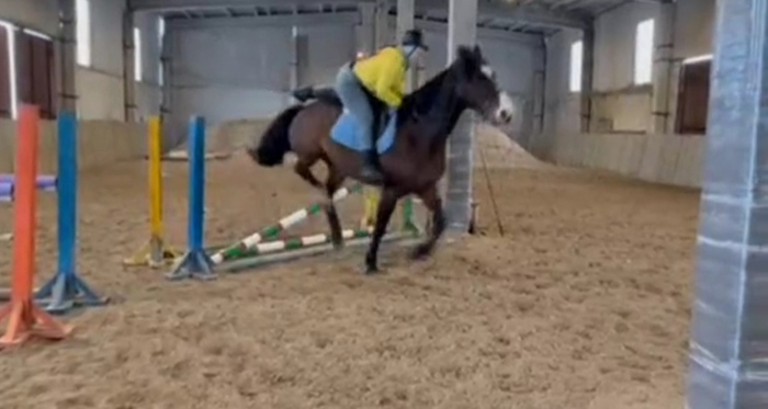 Образцовое падение с коня
