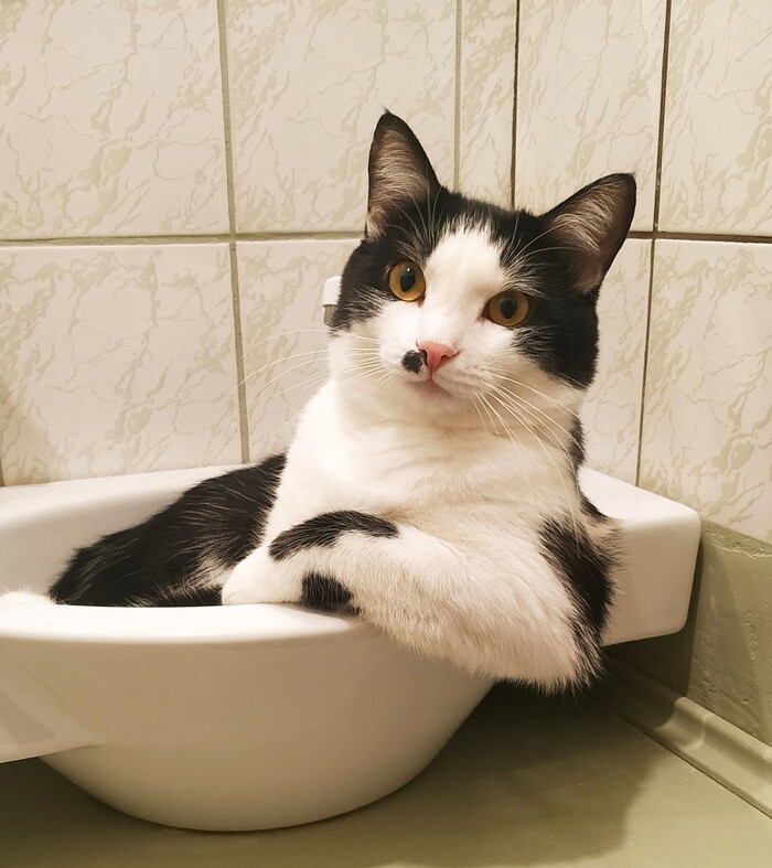   ,  ! , , 