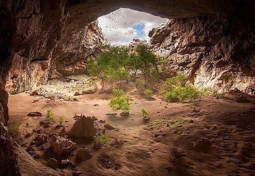 Reply to the post Jomblang Cave - Around the world, Nature, Caves, Speliology, The rocks, The photo, Landscape, Kazakhstan, Travels, Reply to post