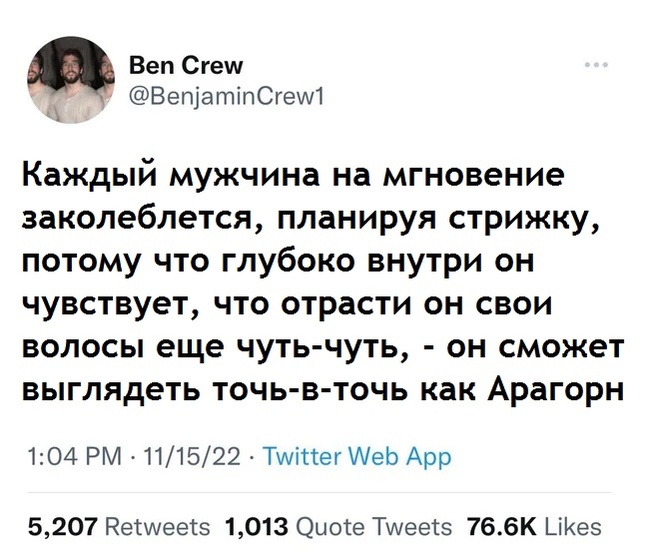 Or you can grow up to Pippin's hairstyle) - Lord of the Rings, Aragorn, Прическа, Twitter, Translated by myself, Screenshot