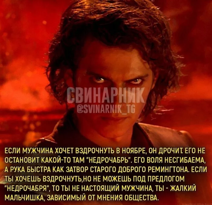 Nedro savory - My, Memes, Humor, Hardened, Joke, Subtle humor, Strange humor, Picture with text, Anakin Skywalker, November