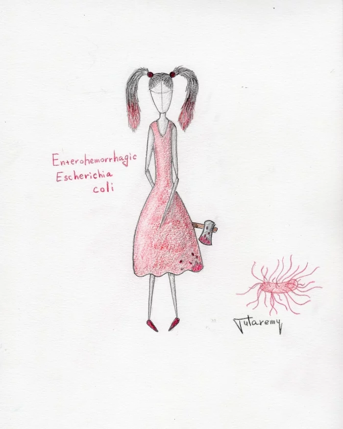 EVIL TWIN - My, Biology, The science, Nauchpop, Informative, Intestinal microflora, Bacteria, Bacteriology, Gut bacteria, The medicine, Infection, Longpost