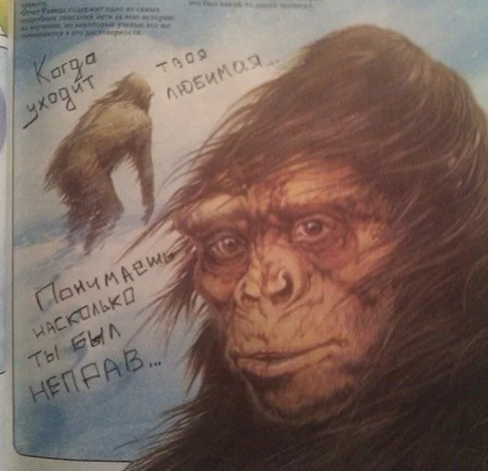 Reply to the post Ideal drawings do not exist ... - Picture with text, Textbook, Humor, Reply to post, Yeti